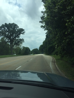 The Drive to Mount Vernon, With Similarities to Williamsburg's Colonial Parkway